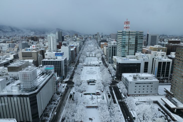 札幌・大通公園の冬の様子