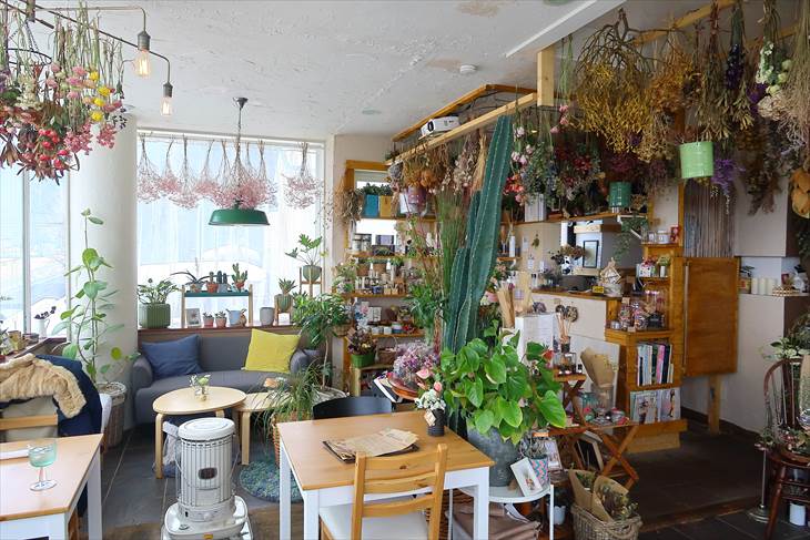 Nolly’s botanical cafe