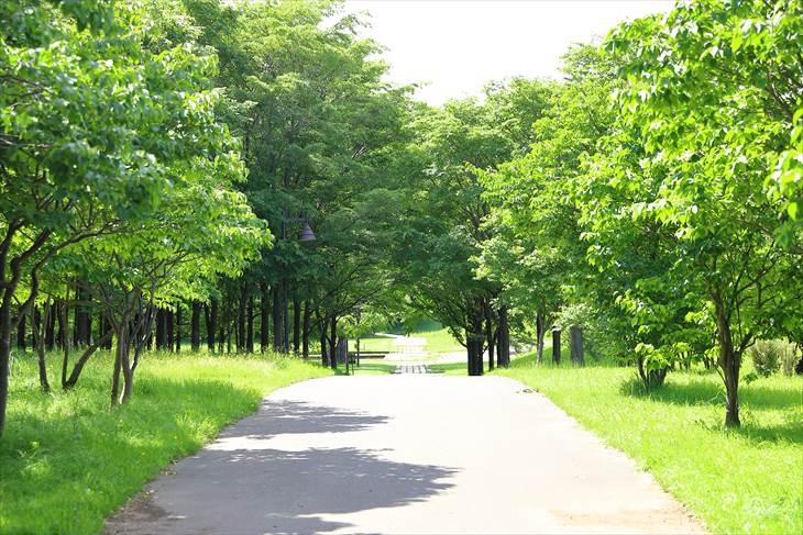 前田森林公園