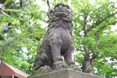 手稲神社の狛犬様
