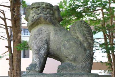 豊平神社 狛犬様