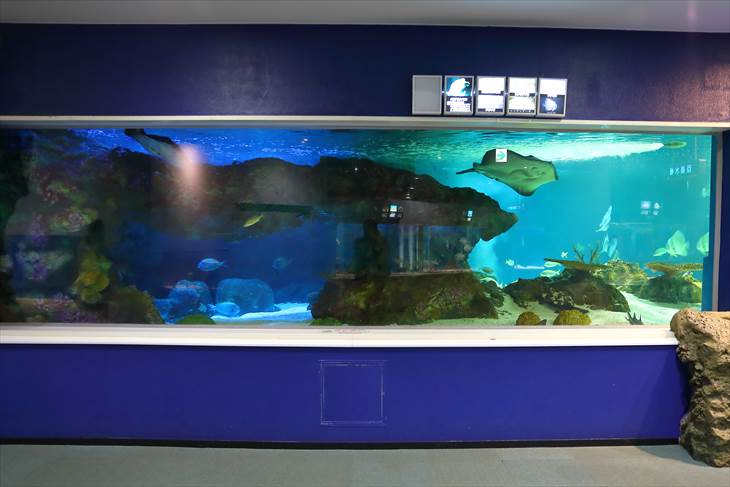 サンピアザ水族館