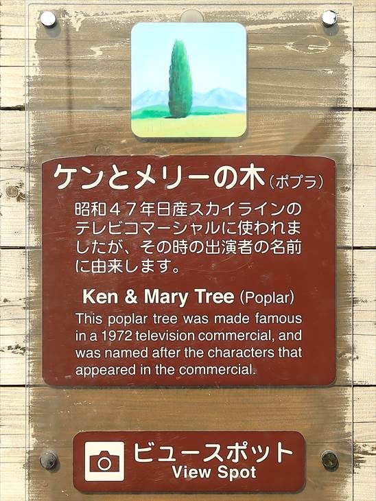 ケンとメリーの木